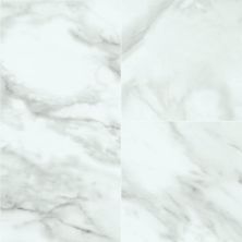 Armstrong Stratamax Pro Lucca Marble – Timeless StrataMaxProASP22