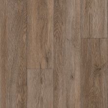 Armstrong Natural Personality Windswept Plank Driftwood D1036651