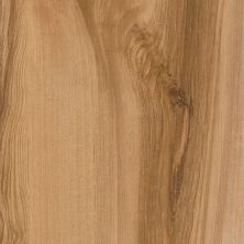 Armstrong Natural Living Planks Golden Grove D2418651