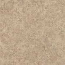 Armstrong Alterna Taupe D2145261