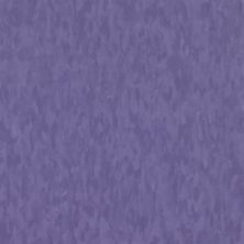 Armstrong Migrations Bbt Violet Grape T3525031