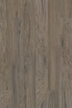 Armstrong Natural Creations Classics Driftwood Gray TP038491
