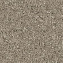 Nyluxe Petguard NIGHTSCAPE Partridge Brown 1671-76712