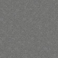 Nyluxe Petguard CLOUDSCAPE Smoke Grey 1673-84215