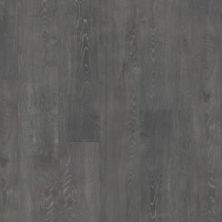 Beaulieu Atomic Xtra Caesium Xtra 8030