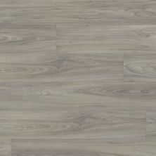 Beaulieu Atomic Xtra Chromium Xtra 8031