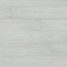 Beaulieu Atomic Xtra Francium Xtra 8032
