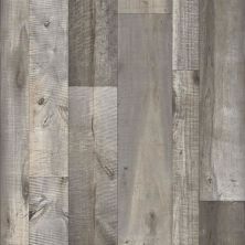 Beaulieu Omega+ – Plank Moonwood Cloud OMP01-U0080