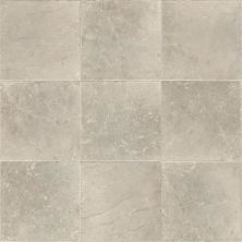 Beaulieu Reflect+ – Tile Oracle Dove REP01-U0065