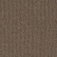 Beaulieu Carpet Tile Alpha 823 TQS1_A823