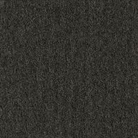 Beaulieu Carpet Tile Alpha 989 TQS1_A989