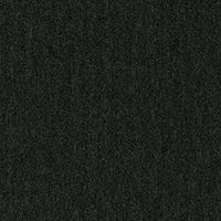 Beaulieu Carpet Tile Alpha 991 TQS1_A991