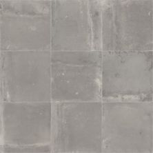 Beaulieu Blacktex Veranda Grey BL002-B0136