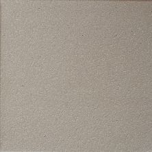 Daltile Quarry Tile Arid Gray 0Q42SQU66MT