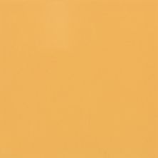 Daltile Color Wheel Classic Mustard 1012SQU66GL
