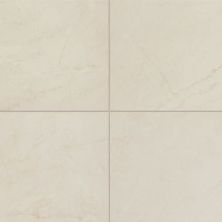 Daltile Core Fundamentals – Prime Field Tile Beige 12″x24″ PRIME-BA31/EL311224