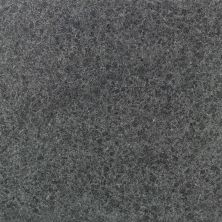 Daltile Absolute Black – Granite Absolute Black BSLTBLCKGRNT_G771_24X24_SP