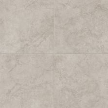 Dal Tile Choice Casper IS-AR05