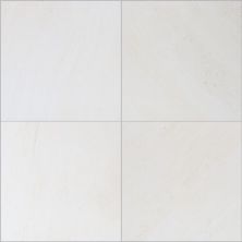 Dal Tile Choice Everest White IS-CHCVRSTWHT