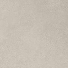Daltile Volume 1.0 Degrees Silver VL711224MB1P6