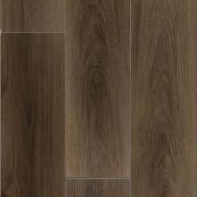 Daltile Proseries – Halstatt Craftsman HT45