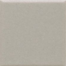 Daltile Keystones Field Tile Desert Gray (1) 1×1 D01411MS