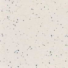 Daltile Keystones Field Tile Pepper White (1) 1×1 D03711MS