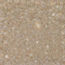 Daltile Keystones Field Tile Mottled Medium Brown (1) 2×2 D05022MS1P