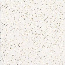 Daltile Keystones Field Tile Golden Granite (2) 2×2 D13822MS1P