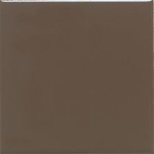 Daltile Keystones Field Tile Artisan Brown (2) 2×2 D14422MS1P