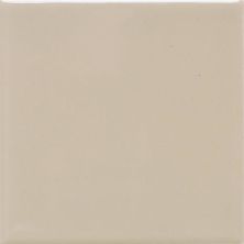 Daltile Keystones Field Tile Urban Putty (1) 2×2 D1612HEXMS1P