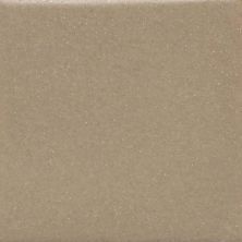 Daltile Keystones Field Tile Elemental Tan (1) 1×1 D16611MS