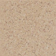 Daltile Keystones Field Tile Elemental Tan Speckle (1) 1×1 D17511MS