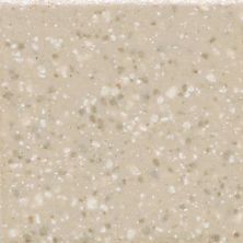Daltile Keystones Field Tile Urban Putty  Speckle (1) 1×1 D20111MS