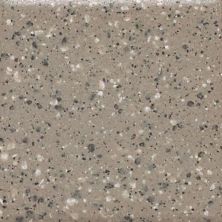 Daltile Keystones Field Tile Uptown Taupe Speckle (2) 2×2 D20222MS1P