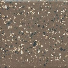 Daltile Keystones Field Tile Artisan Brown Speckle (2) 1×1 D20411MS