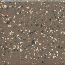 Daltile Keystones Artisan Brown Speckle (2) D20411MS