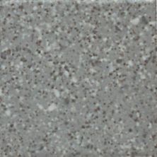 Daltile Keystones Field Tile Suede Gray  Speckle (2) 2×2 D20822MS1P