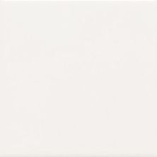Daltile Keystones Field Tile Arctic White (2) 1×1 D61711MS