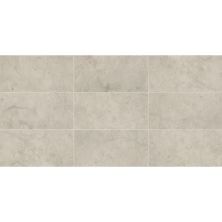 Daltile Limestone Collection Field Tile Volcanic Gray 12×24 Polished L725-1224POL