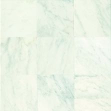 Daltile Marble Collection First Snow Elegance M19018181U