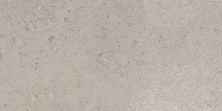 Daltile Dignitary Superior Taupe DGNTRY_DR08_12X24_RT