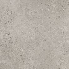 Daltile Dignitary Superior Taupe DGNTRY_DR08_24X24_SM