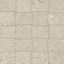Daltile Dignitary Notable Beige DGNTRY_DR09_12X12_AM