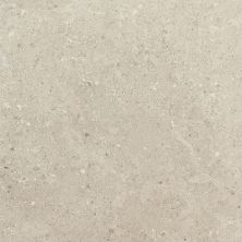 Daltile Dignitary Notable Beige DGNTRY_DR09_24X24_SM