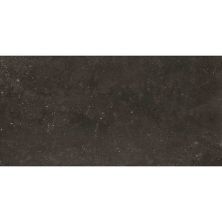 Daltile Diplomacy Field Tile Dark Grey 12×24 DP0312241P