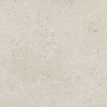Daltile Dignitary Field Tile Luminary White 12×24 DR0712241L