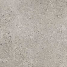 Daltile Dignitary Field Tile Superior Taupe 12×24 DR0812241L
