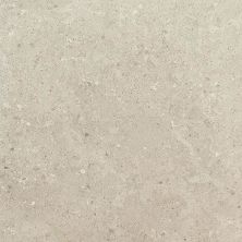 Daltile Dignitary Field Tile Notable Beige 12×24 DR0912241L