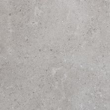 Daltile Dignitary Field Tile Eminence Grey 12×24 DR1012241L